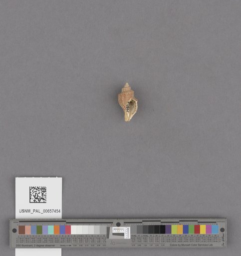 NSF ADBC EPICC TCN