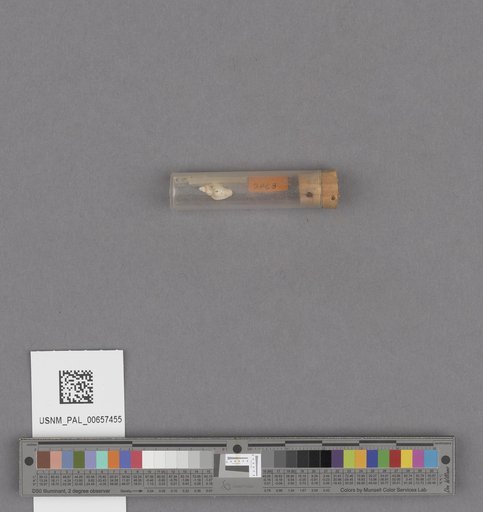 NSF ADBC EPICC TCN