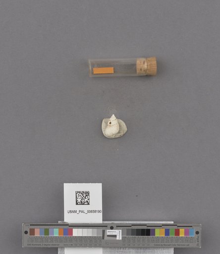 NSF ADBC EPICC TCN