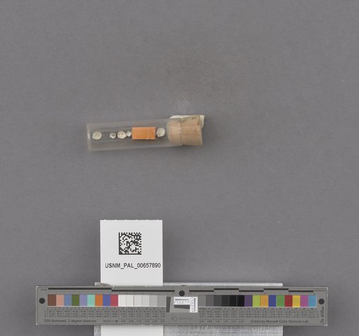 NSF ADBC EPICC TCN