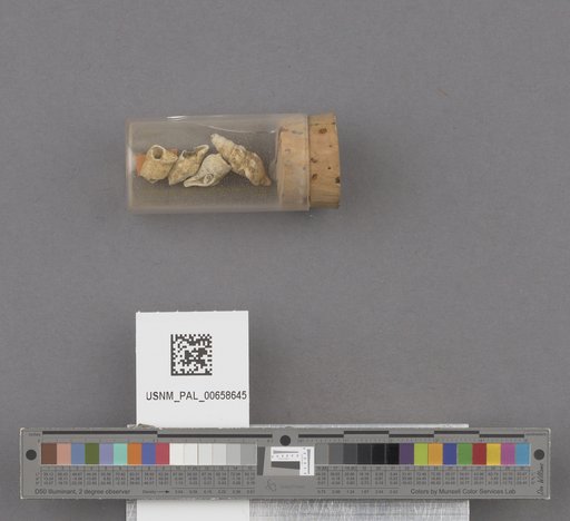 NSF ADBC EPICC TCN