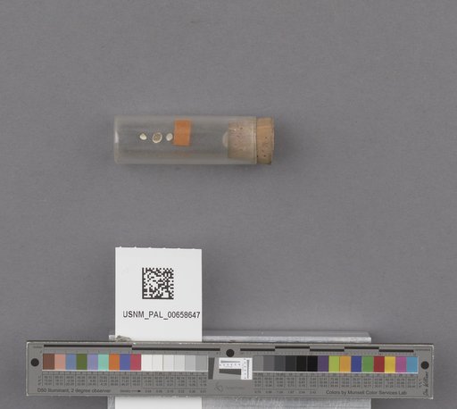 NSF ADBC EPICC TCN
