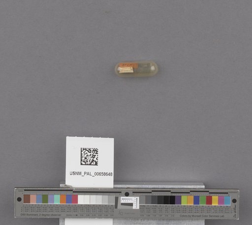 NSF ADBC EPICC TCN