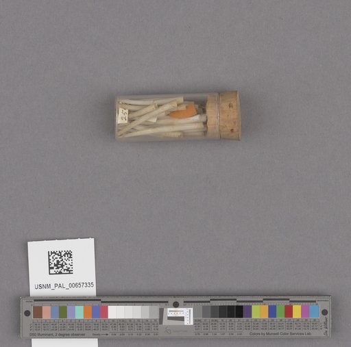 NSF ADBC EPICC TCN