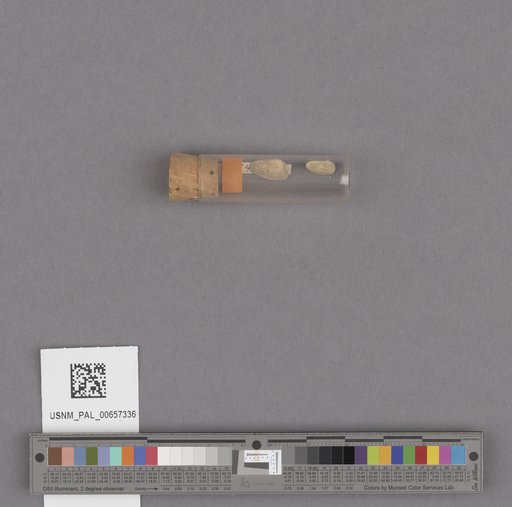 NSF ADBC EPICC TCN