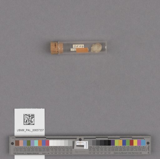 NSF ADBC EPICC TCN