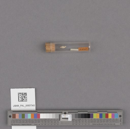 NSF ADBC EPICC TCN