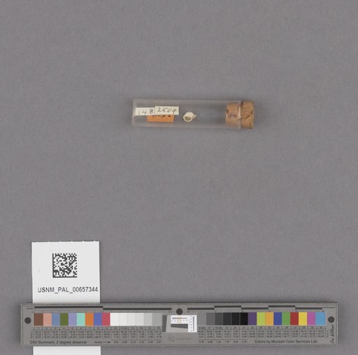 NSF ADBC EPICC TCN