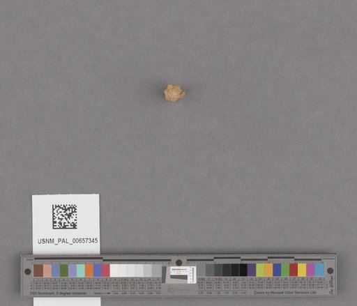 NSF ADBC EPICC TCN