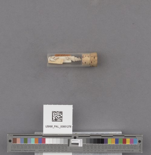 NSF ADBC EPICC TCN