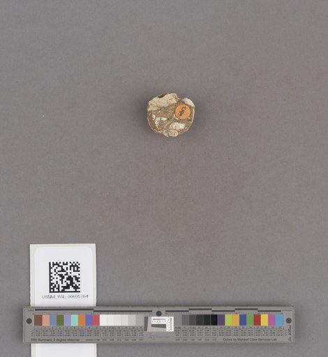 NSF ADBC EPICC TCN