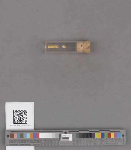 NSF ADBC EPICC TCN