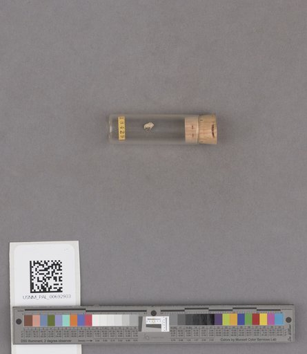 NSF ADBC EPICC TCN