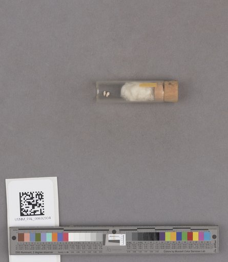 NSF ADBC EPICC TCN