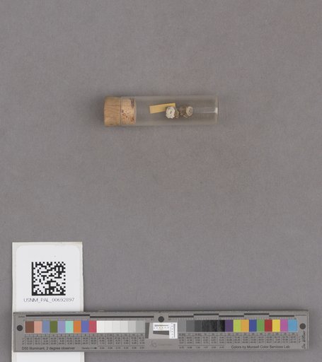 NSF ADBC EPICC TCN