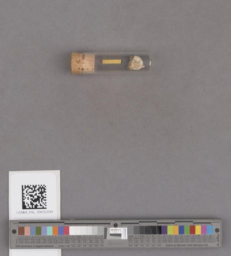 NSF ADBC EPICC TCN