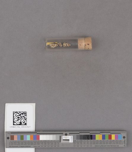 NSF ADBC EPICC TCN