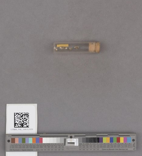 NSF ADBC EPICC TCN