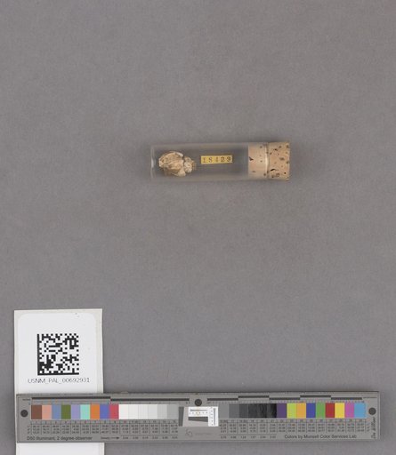 NSF ADBC EPICC TCN
