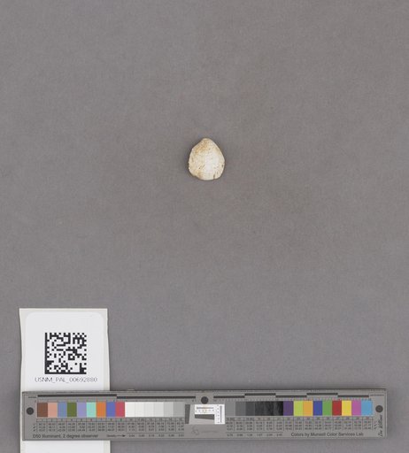 NSF ADBC EPICC TCN
