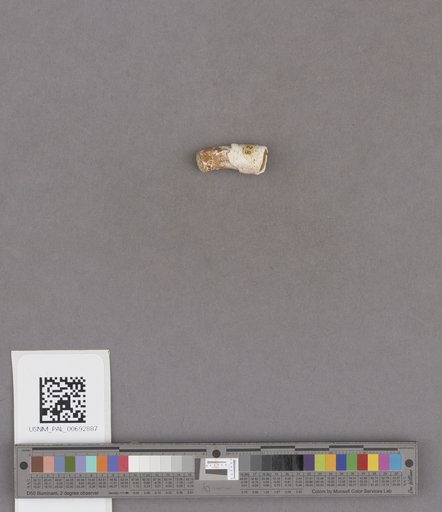 NSF ADBC EPICC TCN
