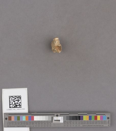 NSF ADBC EPICC TCN