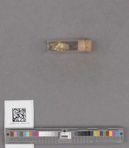 NSF ADBC EPICC TCN