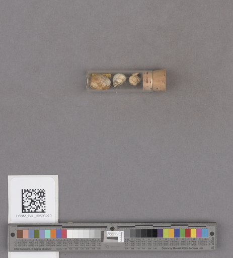 NSF ADBC EPICC TCN