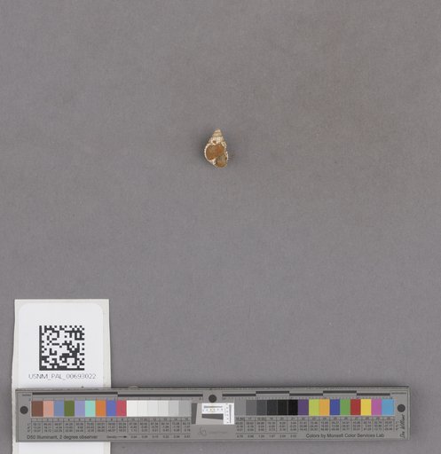 NSF ADBC EPICC TCN