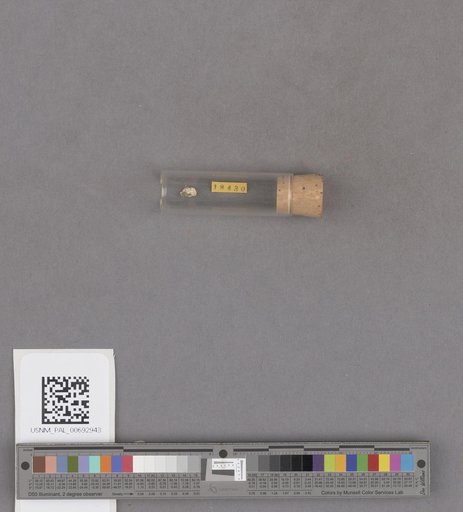 NSF ADBC EPICC TCN