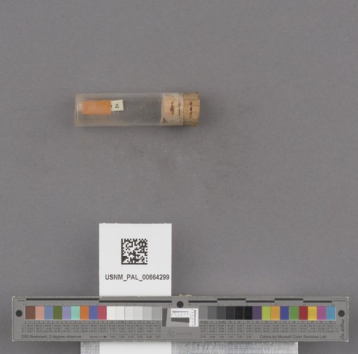 NSF ADBC EPICC TCN