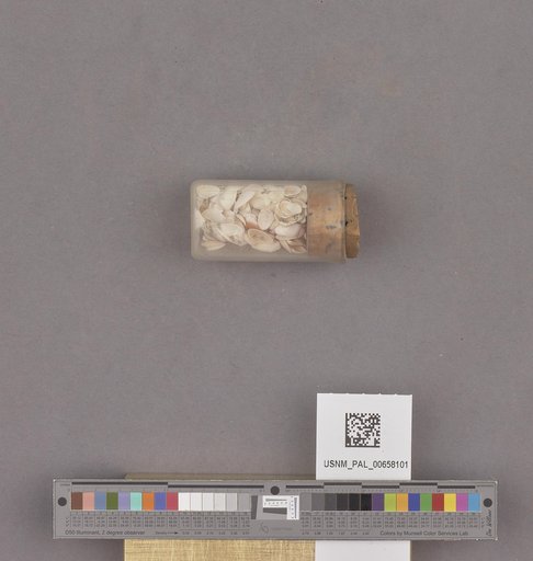 NSF ADBC EPICC TCN