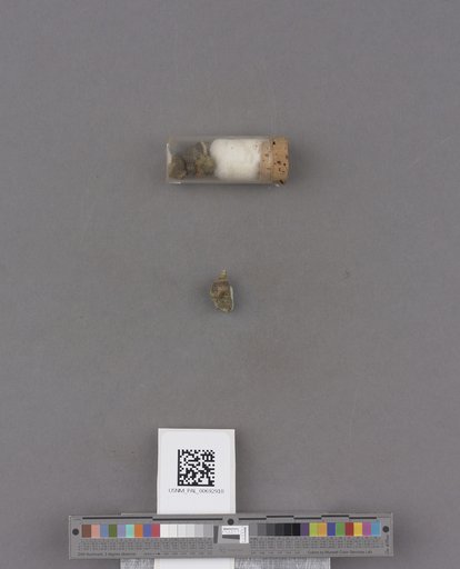 NSF ADBC EPICC TCN