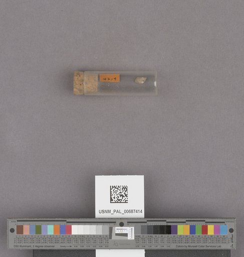 NSF ADBC EPICC TCN