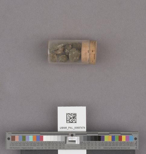 NSF ADBC EPICC TCN