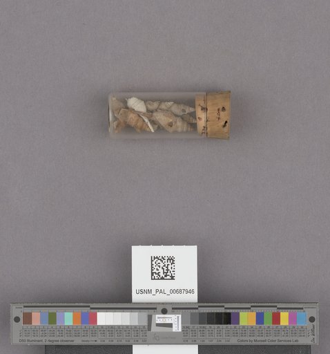 NSF ADBC EPICC TCN