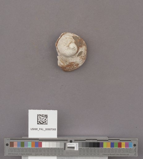 NSF ADBC EPICC TCN
