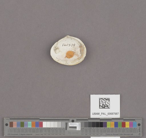 NSF ADBC EPICC TCN