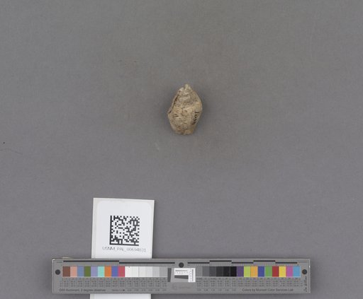 NSF ADBC EPICC TCN
