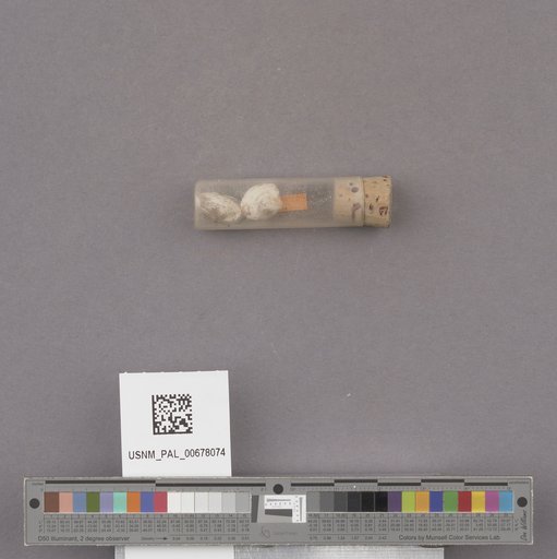 NSF ADBC EPICC TCN