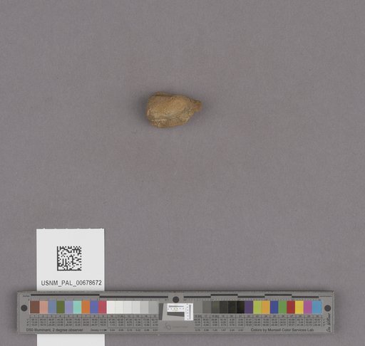 NSF ADBC EPICC TCN