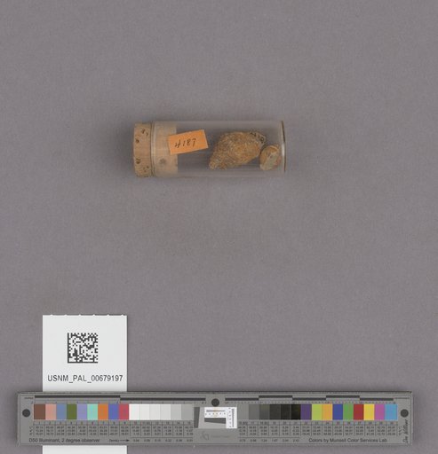 NSF ADBC EPICC TCN