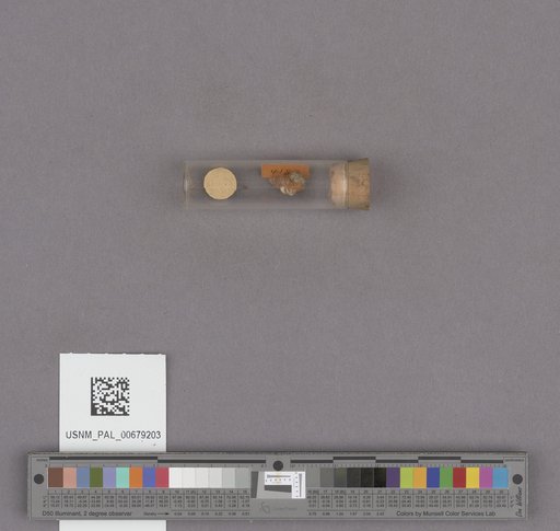 NSF ADBC EPICC TCN