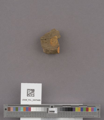 NSF ADBC EPICC TCN