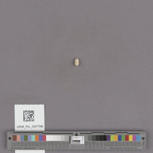 NSF ADBC EPICC TCN