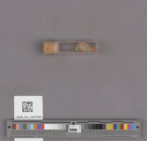 NSF ADBC EPICC TCN