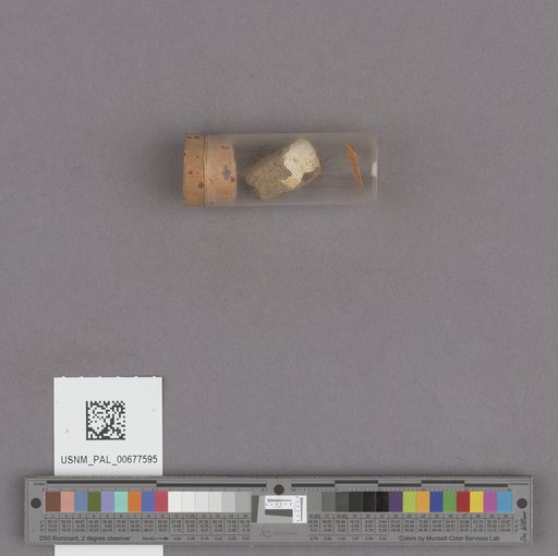 NSF ADBC EPICC TCN