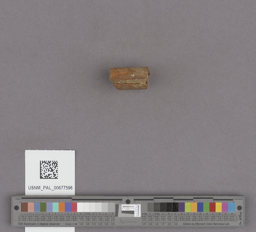 NSF ADBC EPICC TCN