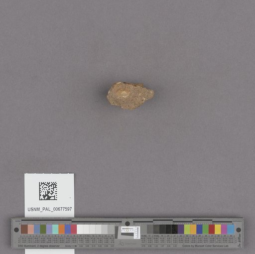 NSF ADBC EPICC TCN