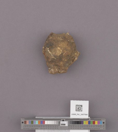 NSF ADBC EPICC TCN
